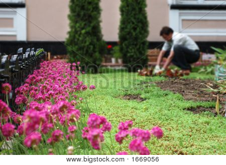 Giardiniere lavorando all'aiuola