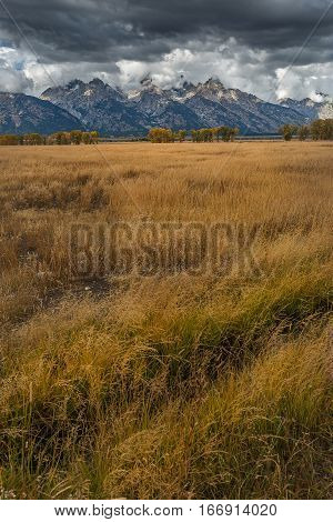 Landscape Of Grand Teton National Park