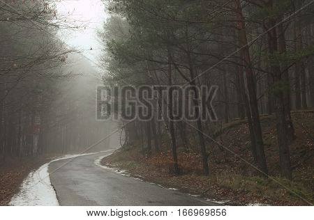 snowy road in a misty forest in the morning
