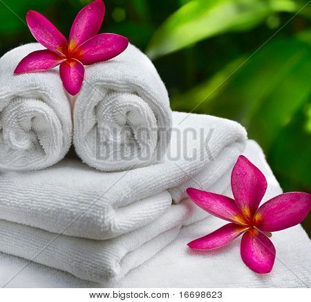 Spa-Objekte mit Tropica Blumen und Blätter