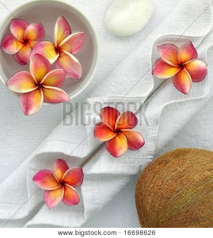 Spa-Objekte mit Tropica Blumen auf natürliche Textur