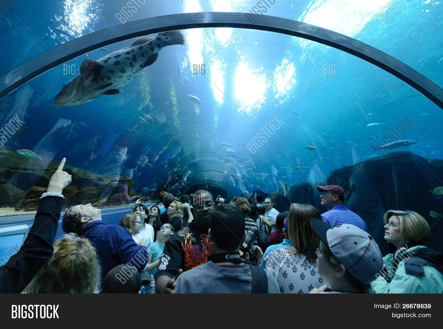 ATLANTA, Image & Photo (Free Trial) Bigstock