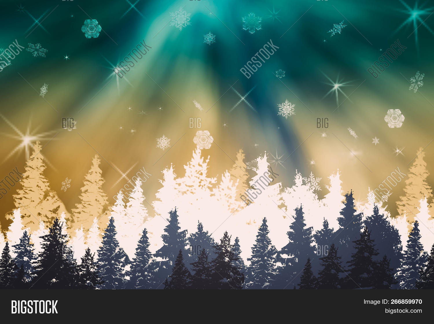 Winter Night Landscape Image Photo Free Trial Bigstock