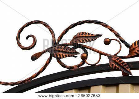 Wrought-iron Gates, Ornamental Forging, Forged Elements Close-up