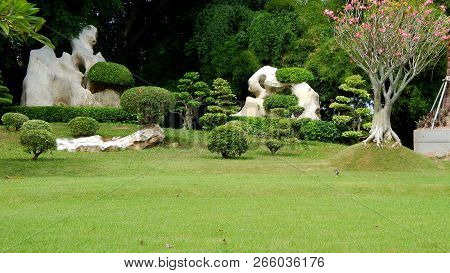 The Park Of Stones Of Trees And Flowers In Thailand