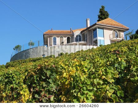 Ylellinen huvila, joukossa viinitarha. Montreux, Sveitsi