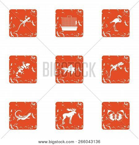 Creature Icons Set. Grunge Set Of 9 Creature Icons For Web Isolated On White Background