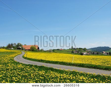 Naturskønne eng i Emmental region, Schweiz