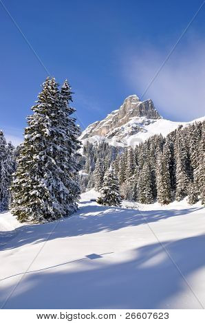 Monte Eggstoeke m 2449. Braunwald, Svizzera