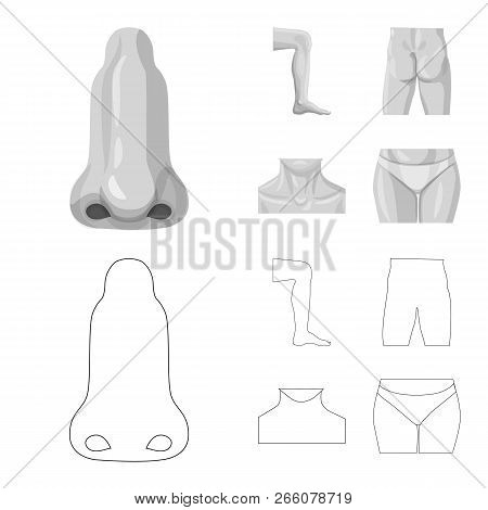 Isolated Object Of Human And Part Symbol. Set Of Human And Woman Vector Icon For Stock.