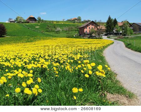  Naturskønne eng i Emmental region, Schweiz