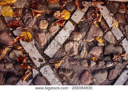 Beautiful Background With Autumn Foliage. Foliage On The Old Pavement. Abstract Background.