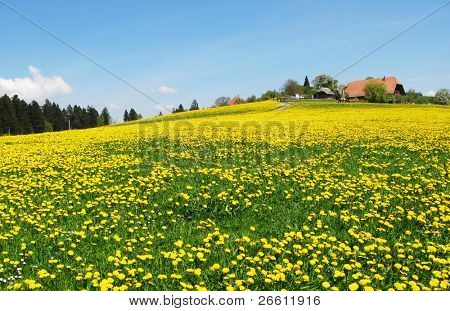 Forår i Emmentaler, Schweiz