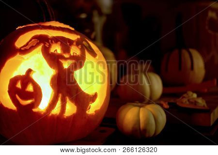 Cute Illuminated Halloweeen Pumpkin Decoration With Smiling Dog Carved On Pumpkin Indoors At Night F