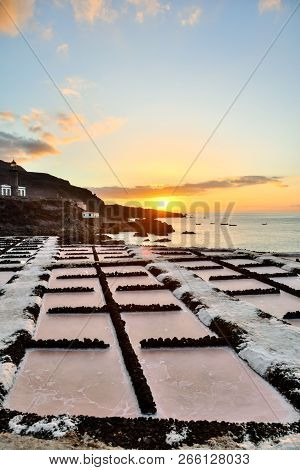 Picture Photo Of Salt Flats In The Canry Islands