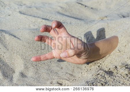 Hand Closeup. Hands Buried In Sand On A Beach.