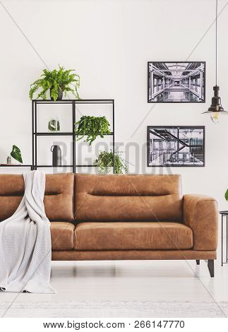 Grey Blanket On Brown Leather Sofa In Bright Modern Apartment With Industrial Posters On The Wall An