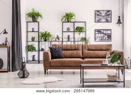Interior Design Created By Plant Lover, Different Kind Of Plowers And Plant On A Black Metal Shelf B
