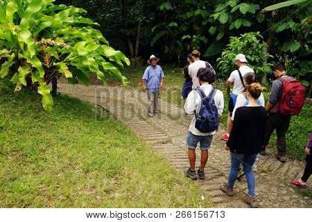 QUINDIO, COLOMBIA, 16 AUGUST, 2018 : Tourists taking part at a guided coffee tour in Quindio, Colombia, South America