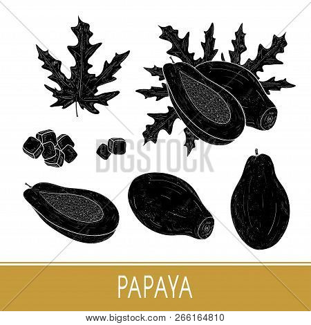 Papaya. Tropical Fruit. Set. Leaf, Fruit, Morsel. Black Silhouette On White Background.