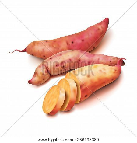 Realistic Sweet Potato Set On A White Background
