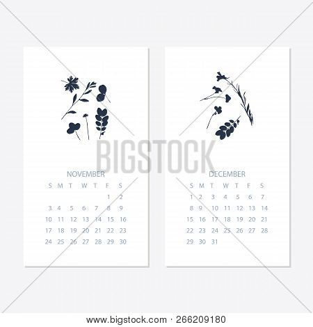 Vector Of 2019 New Year Calendar With Plants On Cyanotype Texture. Holiday Event Planner. Week Start