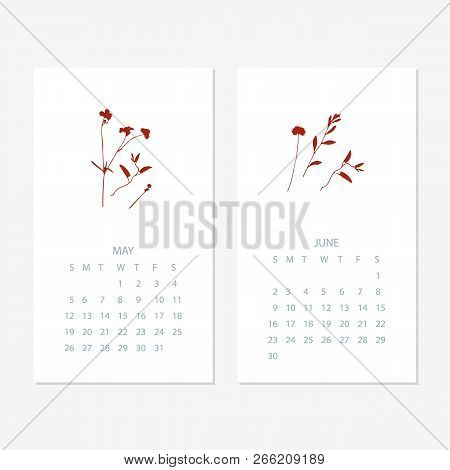 Vector Of 2019 New Year Calendar With Plants On Cyanotype Texture. Holiday Event Planner. Week Start