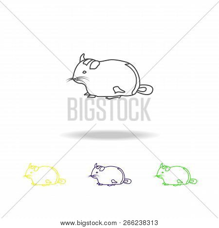 Chinchilla, Rodent Multicolored Outline Icons. Element Of Rodents Illustration. Signs And Symbols Ou