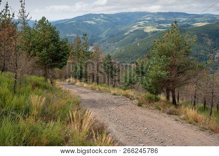 Camino De Santiago Trail Between Pola De Allande And Grandas De Salime, Asturias, Spain