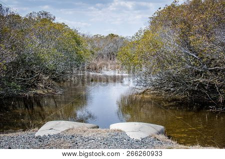 Early Spring Scenery In Assateague Island National Seashore