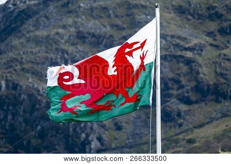 Welsh Flag Waving In The Beautiful Landscape Of Llanberis, Snowdonia In Wales At The Lake Padarn