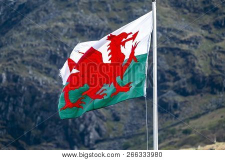 Welsh Flag Waving In The Beautiful Landscape Of Llanberis, Snowdonia In Wales At The Lake Padarn