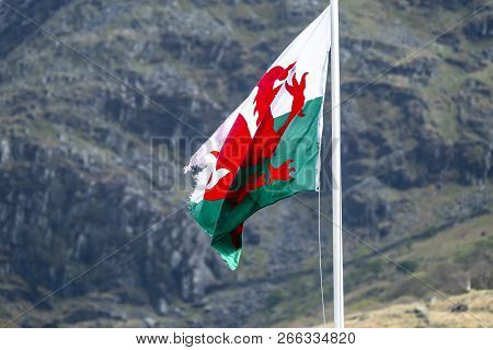 Welsh Flag Waving In The Beautiful Landscape Of Llanberis, Snowdonia In Wales At The Lake Padarn
