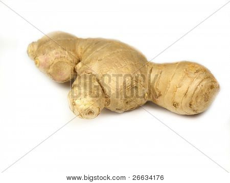 Ginger on white background
