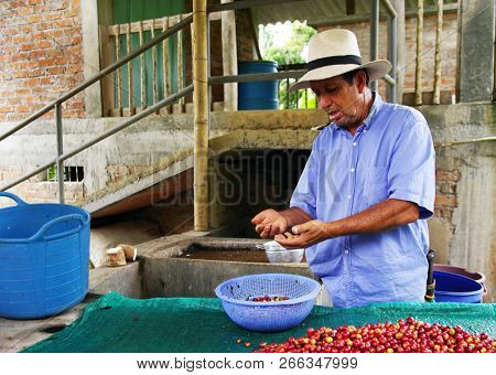 QUINDIO, COLOMBIA, 15 AUGUST, 2018: Coffee tour in Quindio coffee cultures, Colombia, South America