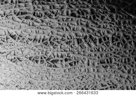 The Surface Of The Melon Texture Background Close-up