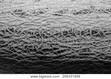 The Surface Of The Melon Texture Background Close-up