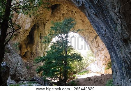 Big Prerast Vratna Canyon Serbia In The Spring