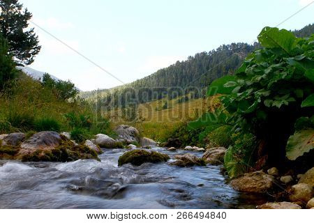 Photo Of Nature - Spring Water Mountain River And The Pretty Petrous Creek On North Caucasus