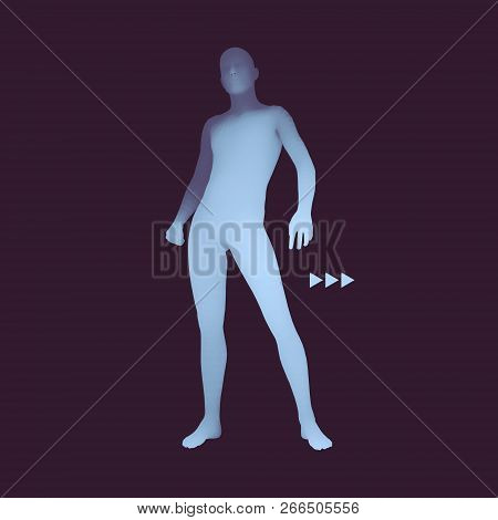 Standing Man. 3d Human Body Model. Design Element. Man Stands On His Feet. Vector Illustration.
