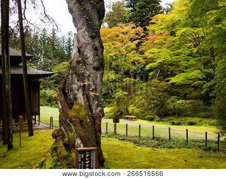 Nikko, Japan - October 23, 2016: Traditional Japanese Garden In Tamozawa Imperial Villa With Fall Le