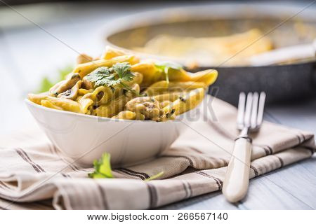 Pasta Pene With Chicken Pieces Mushrooms Parmesan Cheese Sauce And Herb Decoration. Pene Con Pollo -