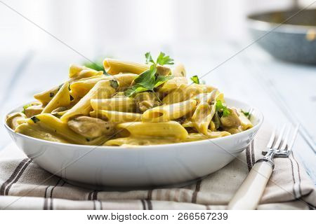 Pasta Pene With Chicken Pieces Mushrooms Parmesan Cheese Sauce And Herb Decoration. Pene Con Pollo -