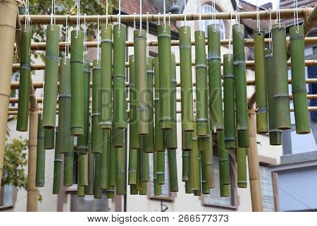 Green Bamboo Sticks. Green Bamboo Tubes Hang Around The House.