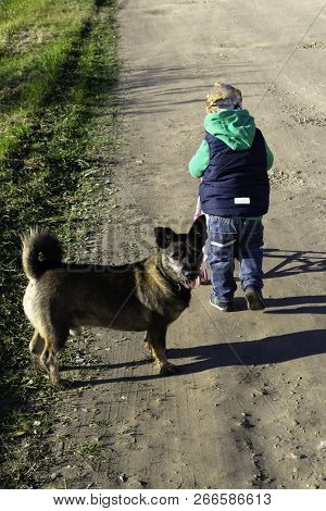 Little Boy Goes On The Road For Him Goes Dog Selective Focus, Friendship Concept