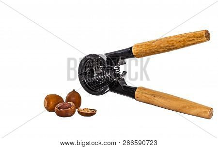 A Black Metallic Nuts Forceps With Yellow Wooden Handles Is On A White Background With Brown Nuts
