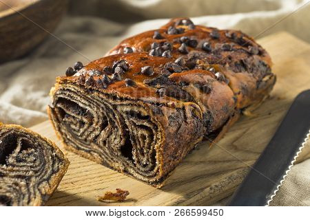 Sweet Homemade Chocolate Babka Bread
