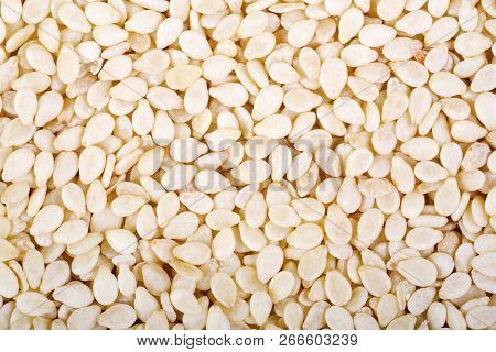 Sesame. Closeup Of Grains, Background Use.