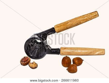 A Black Metallic Nuts Forceps With Yellow Wooden Handles Is On A White Background With Brown Nuts
