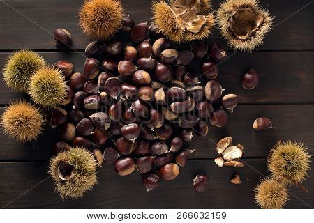 Sweet Chestnut Still Life. Castanea  Sativa Edible Chestnut. Top View